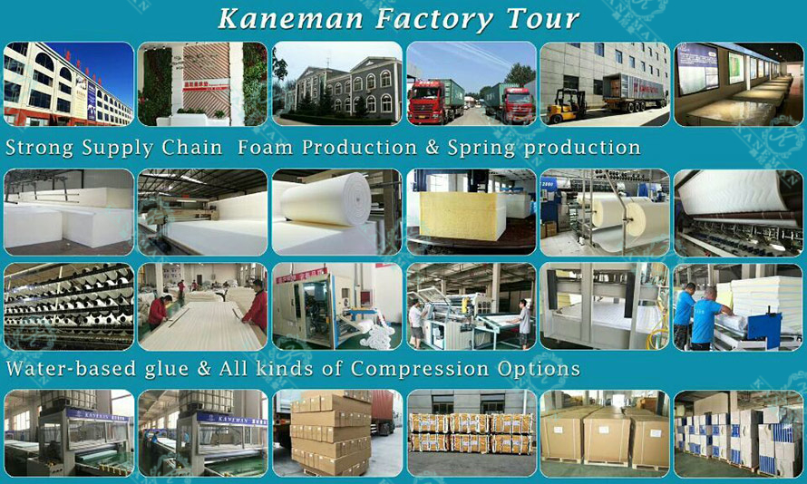 visite-de-l'usine-kaneman