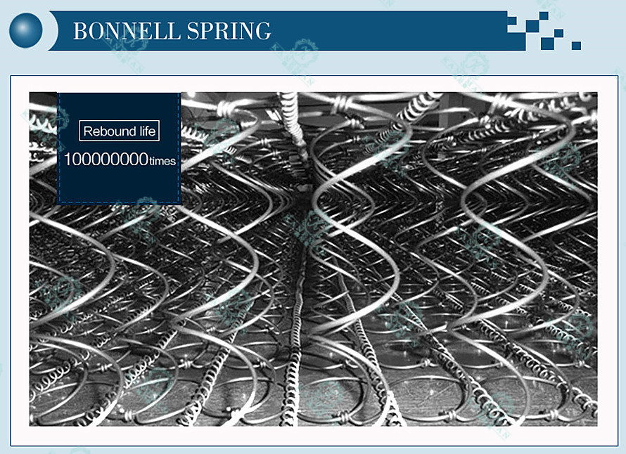 bonnell-spring