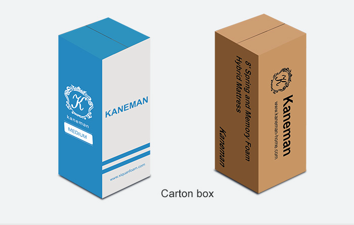 kaneman box